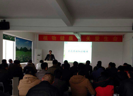 植?；A(chǔ)知識培訓(xùn)