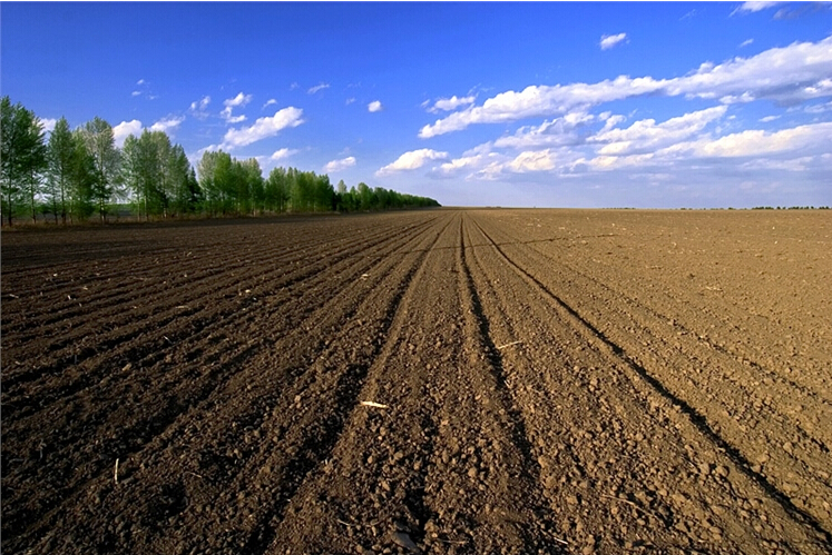 農(nóng)業(yè)“三項(xiàng)補(bǔ)貼”合并為農(nóng)業(yè)支持保護(hù)補(bǔ)貼，變激勵(lì)性補(bǔ)貼為功能性補(bǔ)貼、覆蓋性補(bǔ)貼為環(huán)節(jié)性補(bǔ)貼