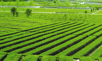 2016農藥行業(yè)困境下如何實現(xiàn)逆襲？