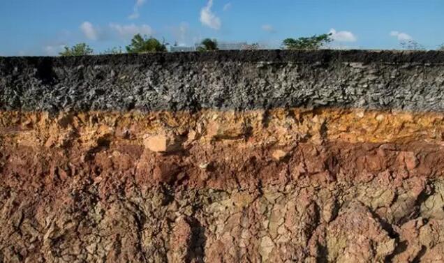 中微量元素的“量小功高“，全在這了~~~