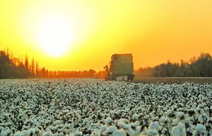 農(nóng)業(yè)部關(guān)于推進(jìn)農(nóng)業(yè)供給側(cè)結(jié)構(gòu)性改革的實(shí)施意見(jiàn)