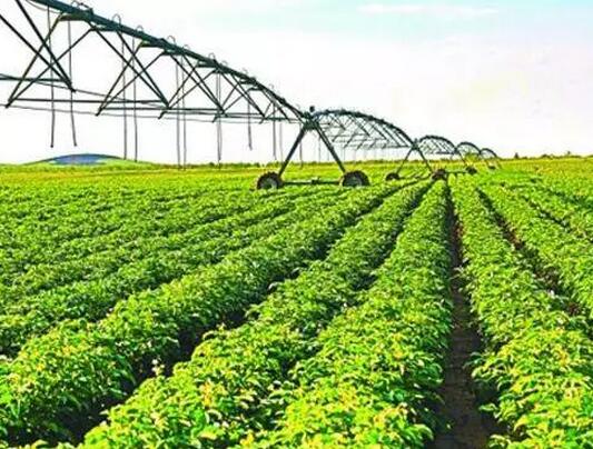 國(guó)家補(bǔ)貼傾向綠色生態(tài)導(dǎo)向！看看這10種生態(tài)農(nóng)業(yè)模式